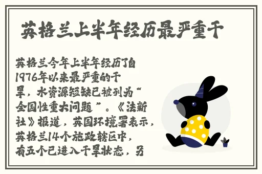 少妇BBW搡BBBB搡BBBB